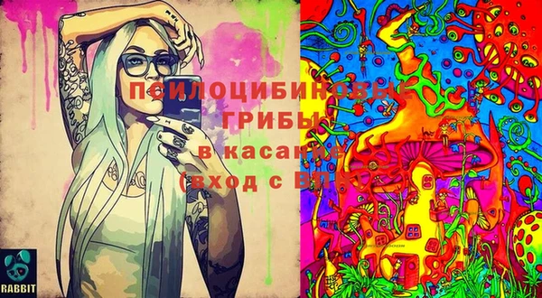 прущие крисы Фёдоровский