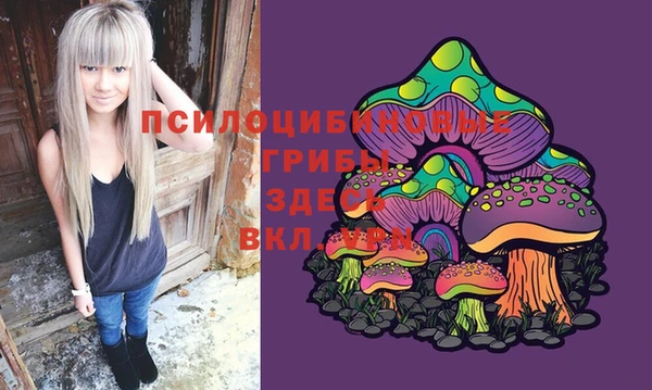 марки lsd Елизово